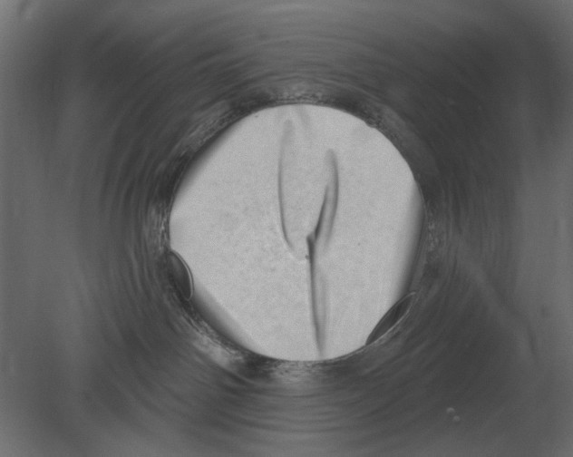 X0000080720142200701121853