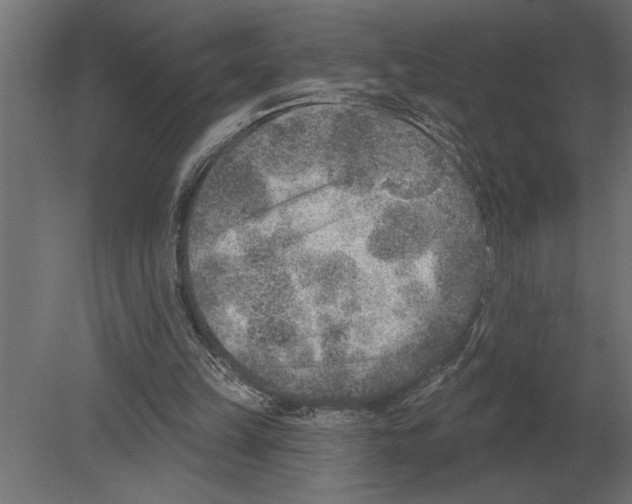 X0000080720149200701121852