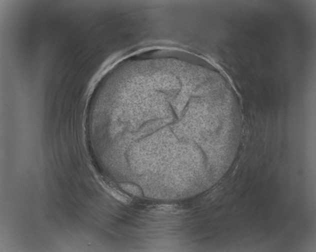 X0000080720151200701121853