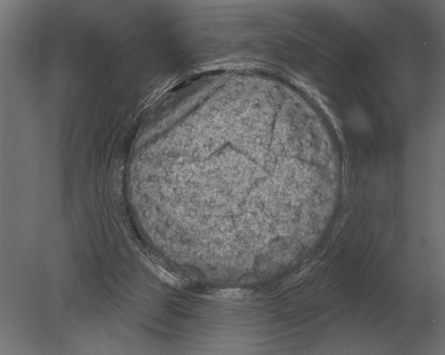 X0000080720153200701121853