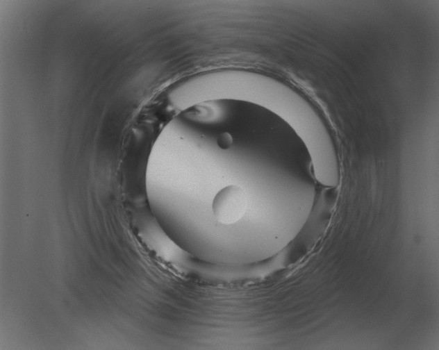 X0000080720154200701121853