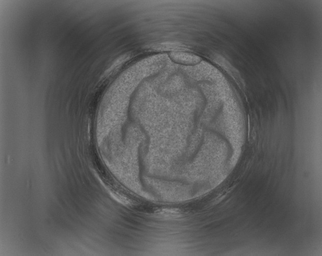 X0000080720157200701121853