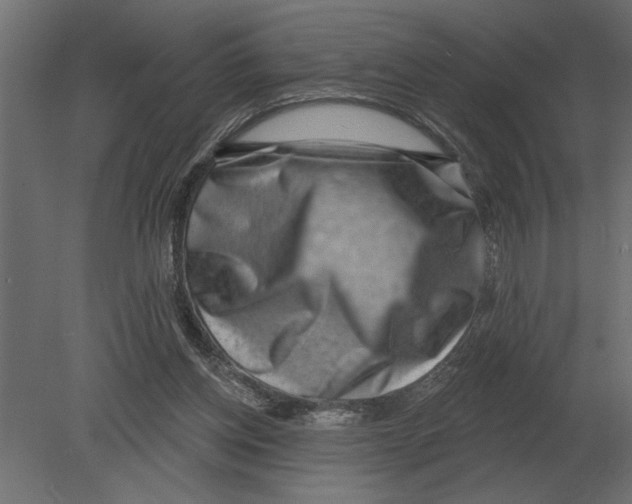 X0000080720158200701121853