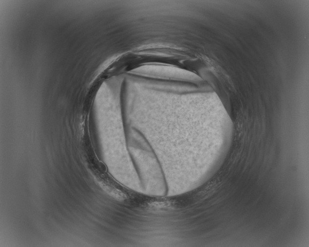 X0000080720160200701121853