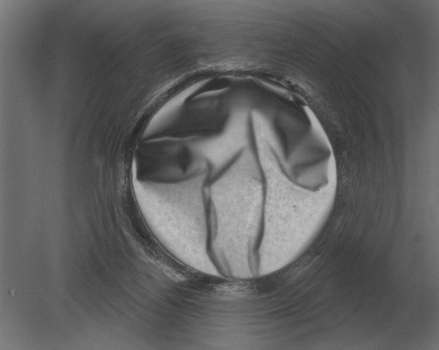 X0000080720164200701121853