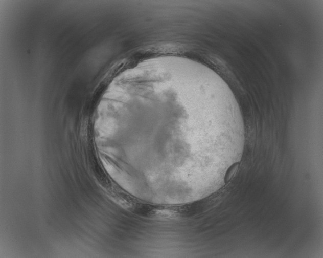 X0000080720167200701121853