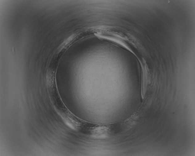 X0000080720168200701121853