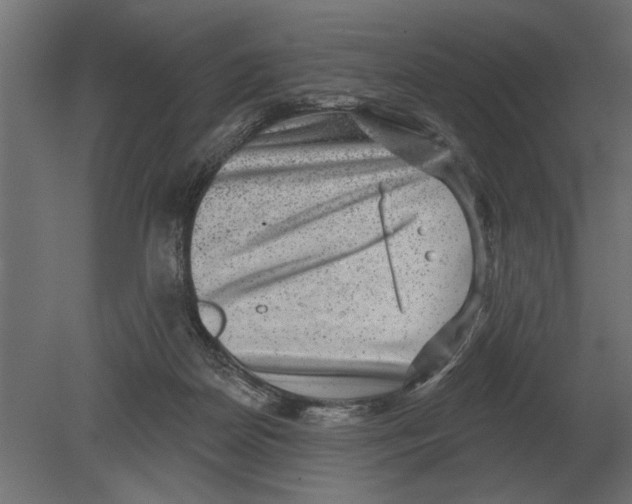 X0000080720170200701121853