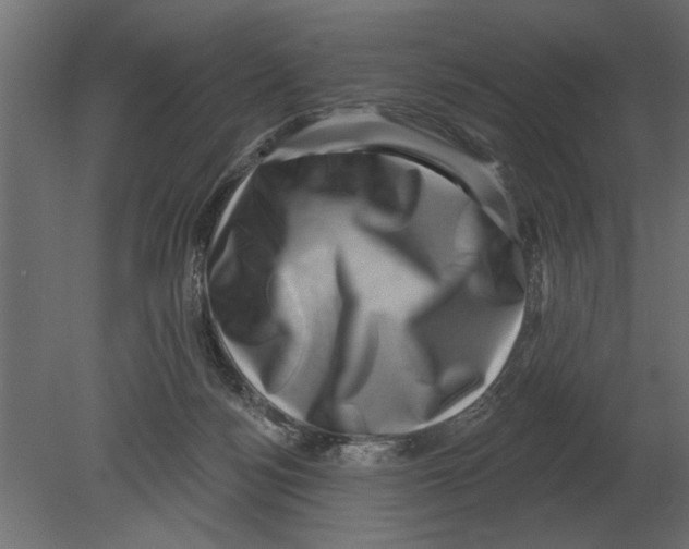 X0000080720172200701121853