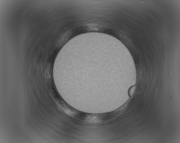 X0000080720174200701121853