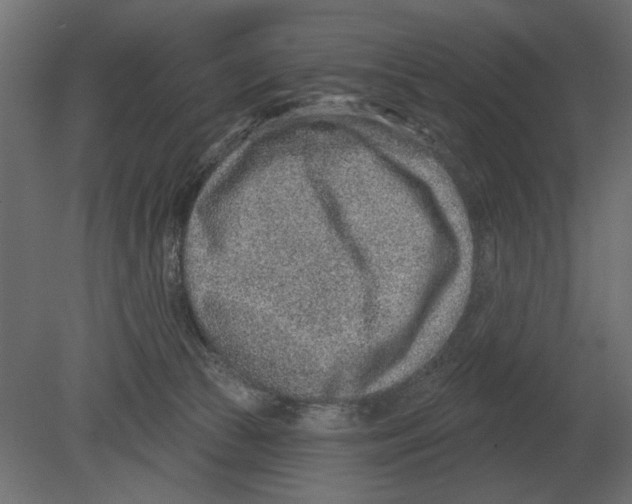 X0000080720177200701121853