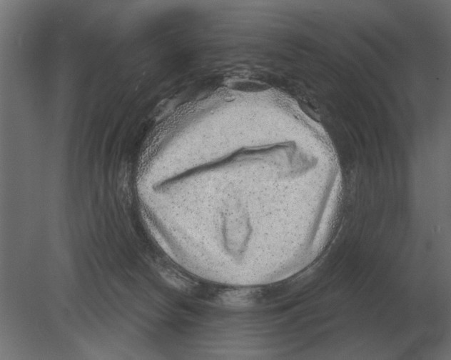 X0000080720178200701121853