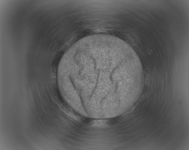 X0000080720179200701121853