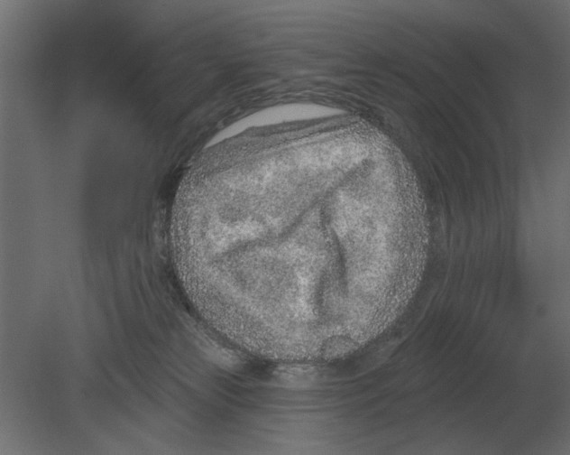 X0000080720181200701121853