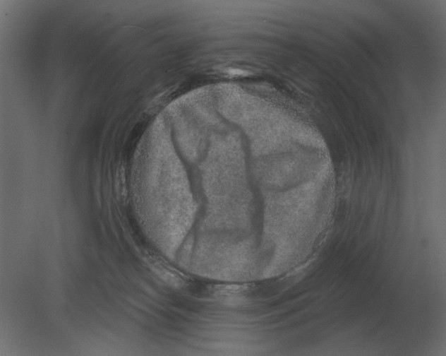 X0000080720182200701121853