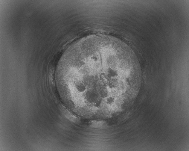 X0000080720185200701121853