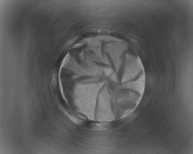 X0000080720188200701121853