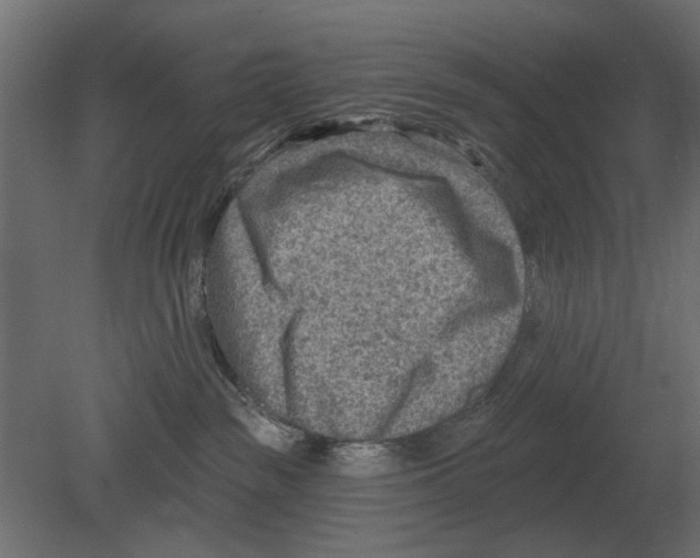 X0000080720189200701121853