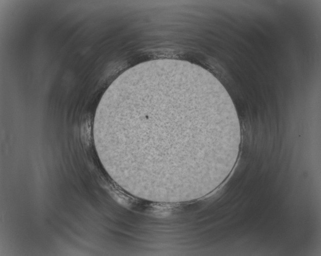 X0000080720190200701121853