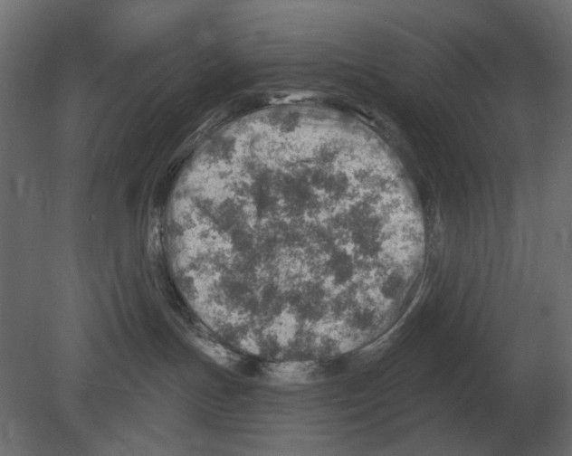 X0000080720191200701121853