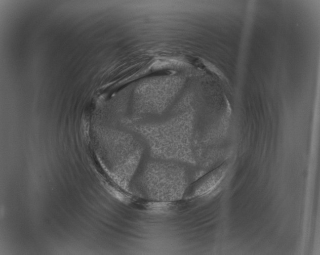 X0000080720192200701121853