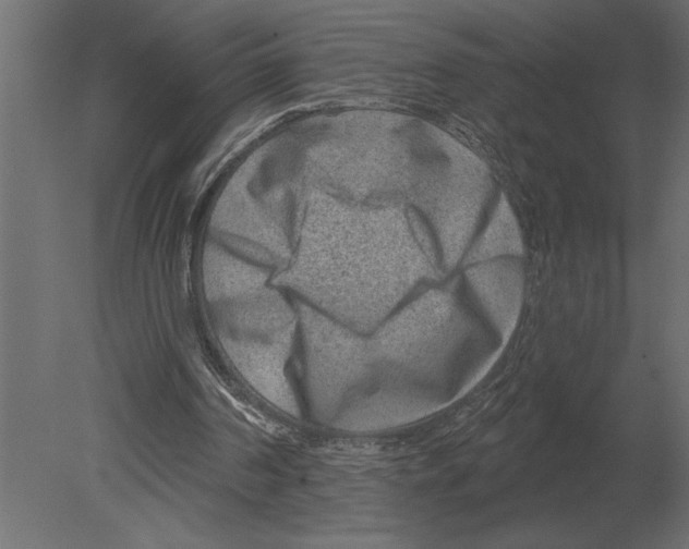 X0000080720194200701121852