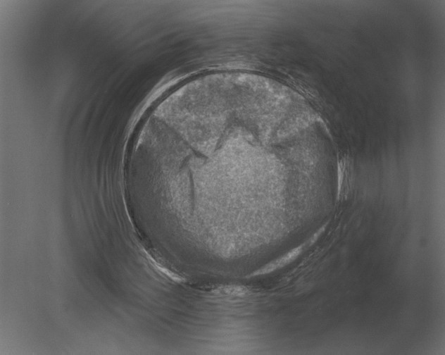 X0000080720195200701121852