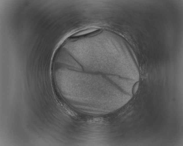 X0000080720196200701121852