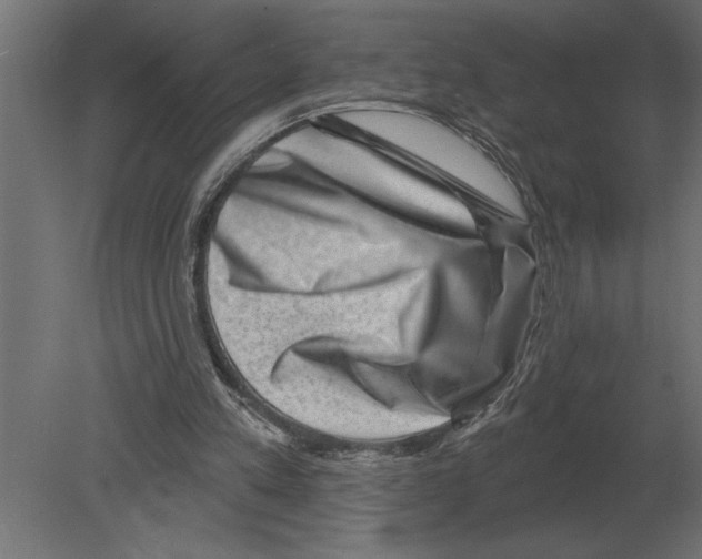 X0000080720197200701121852