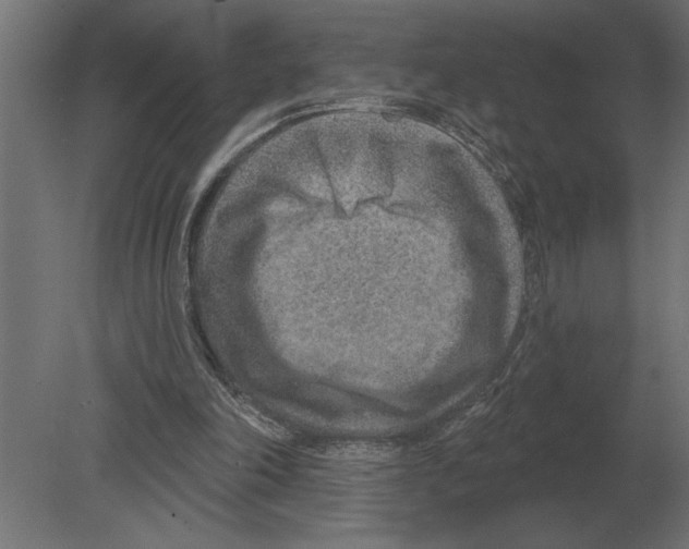 X0000080720198200701121852