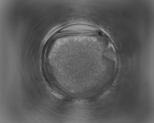 X0000080720199200701121852