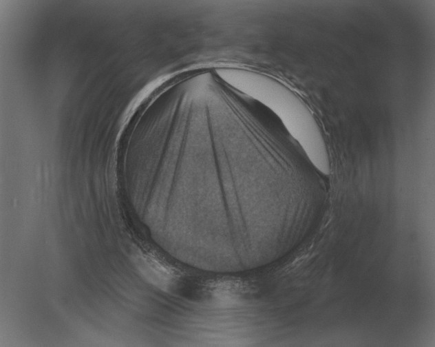 X0000080720200200701121852