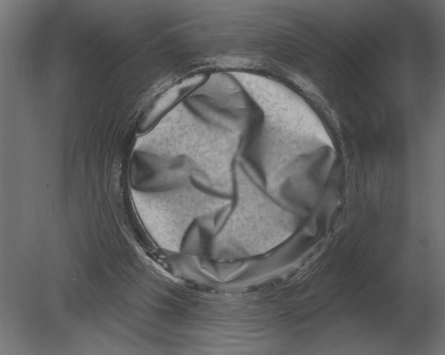 X0000080720201200701121852