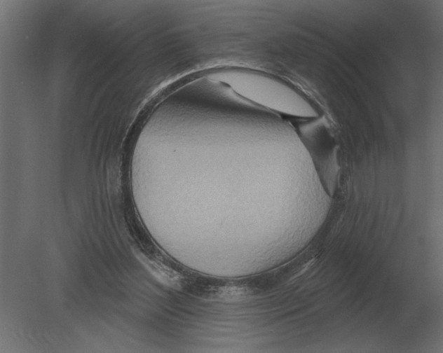 X0000080720204200701121852