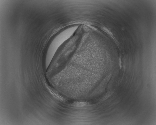 X0000080720205200701121852