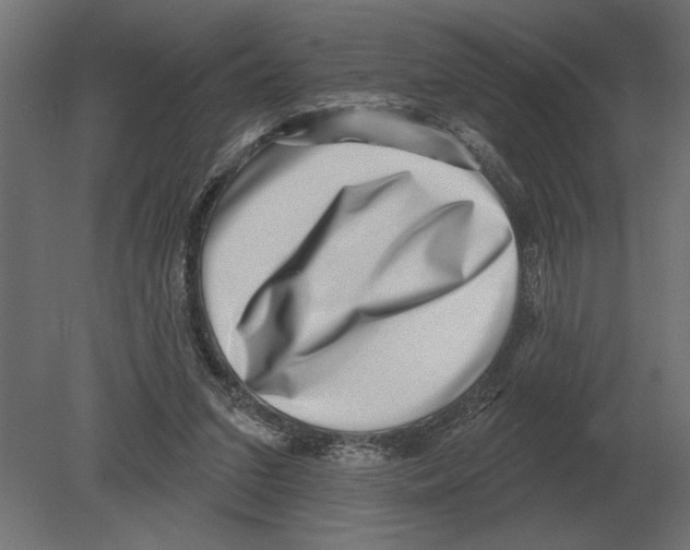 X0000080720207200701121852