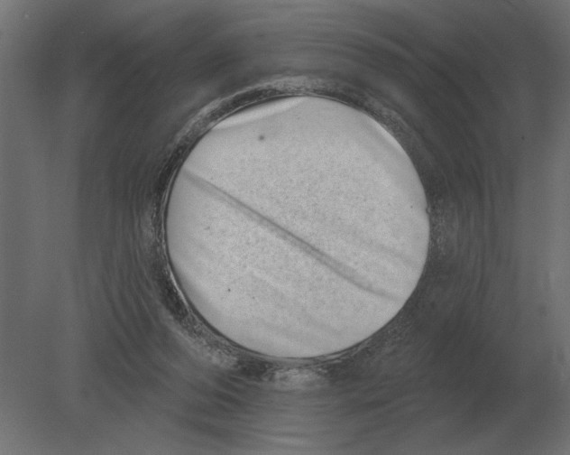 X0000080720208200701121852