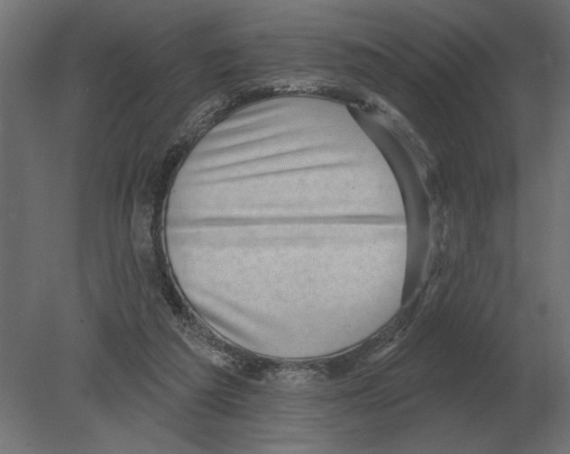 X0000080720209200701121852