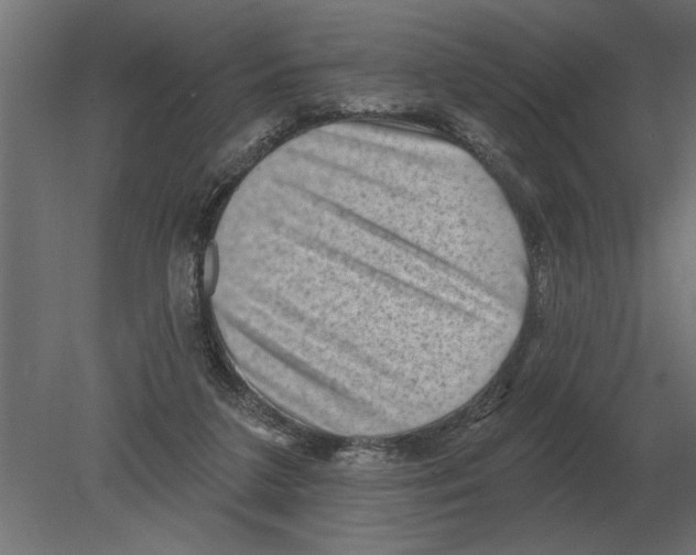 X0000080720211200701121852