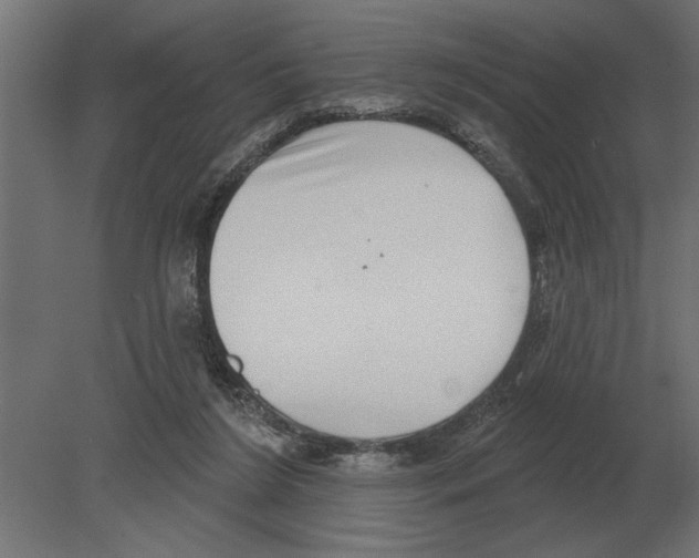 X0000080720212200701121852