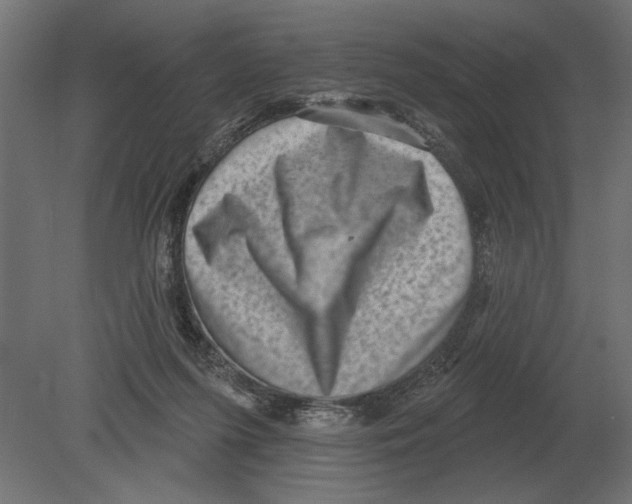 X0000080720215200701121852