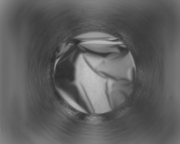 X0000080720221200701121852