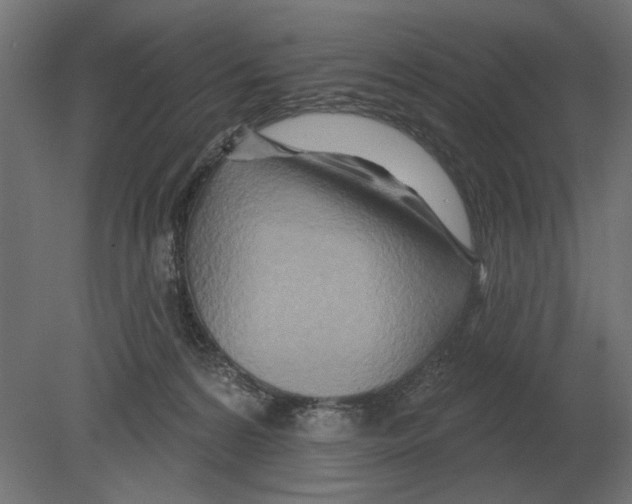 X0000080720224200701121852