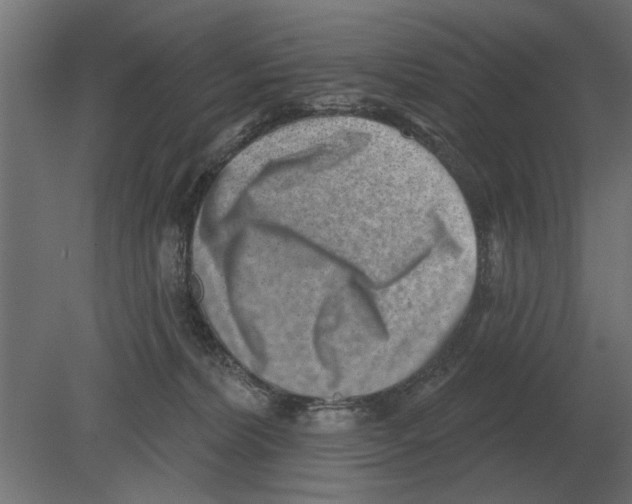 X0000080720228200701121852