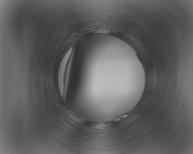 X0000080720229200701121852