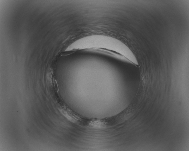 X0000080720231200701121852