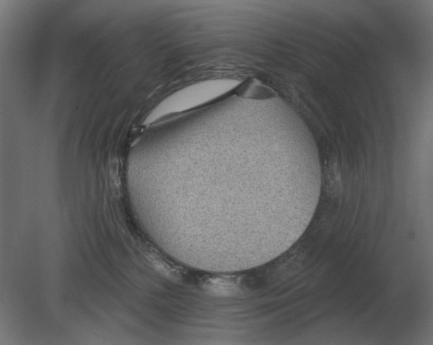 X0000080720232200701121852