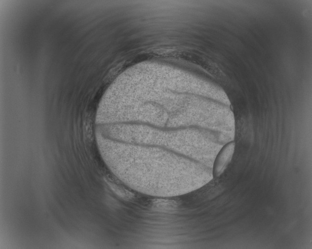 X0000080720234200701121852