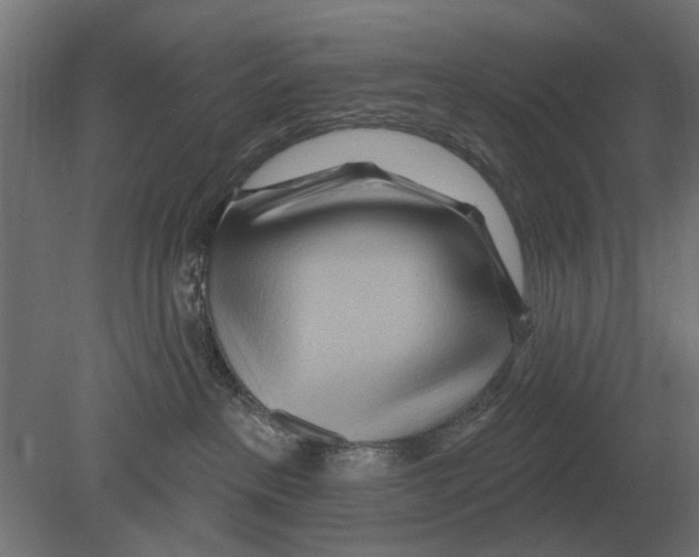 X0000080720237200701121852