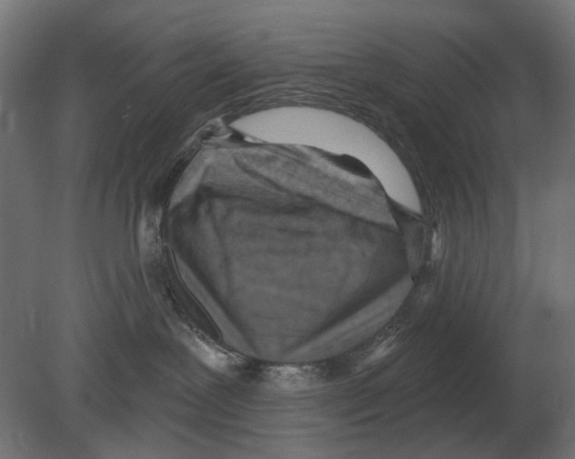 X0000080720239200701121852